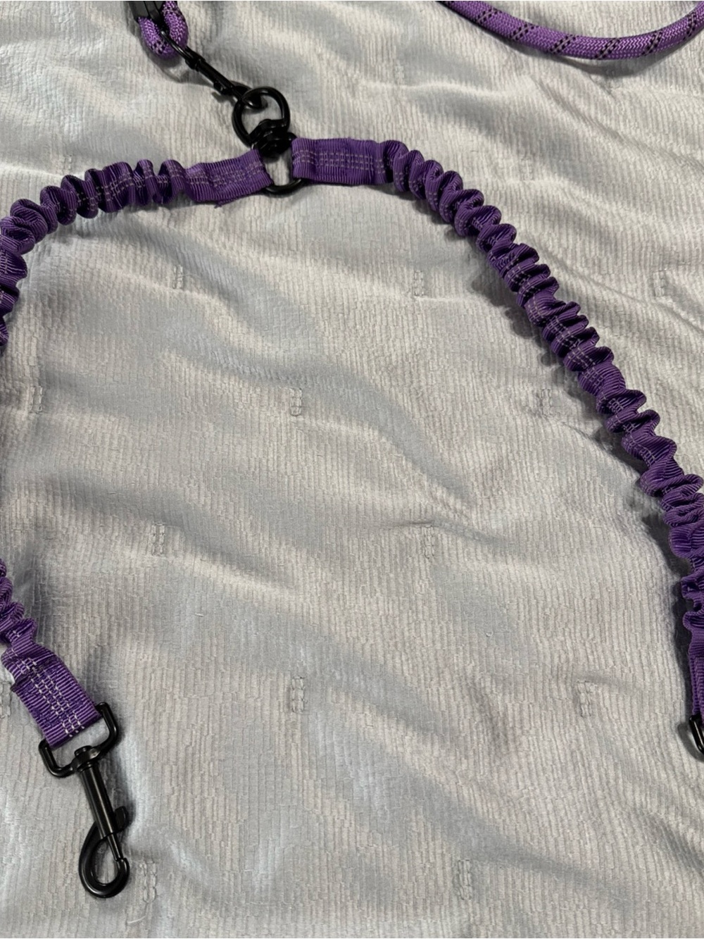 Purple Reflective Bungee Dog Leash with Padded Handle - Picture 3 of 5